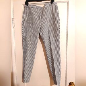 ZARA Blue & White Stripe Zipper Pants